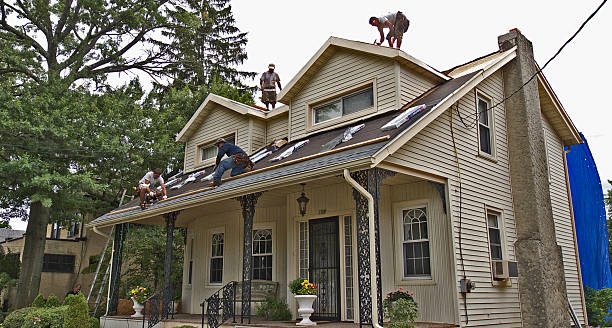 Best Gutter Installation and Roofing  in Merian, ID