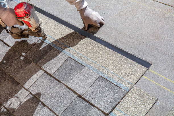Best Roof Gutter Cleaning  in Merian, ID