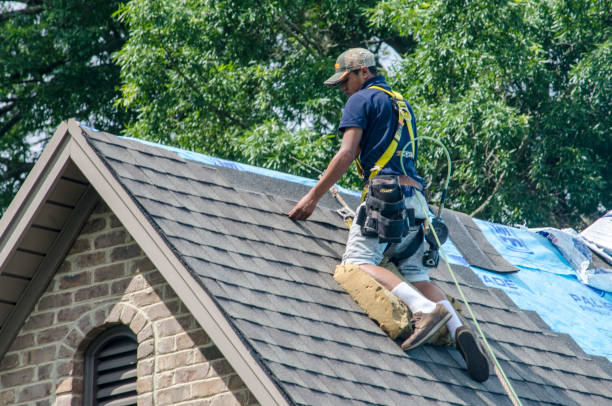 Roof Waterproofing Services in Meridian, ID